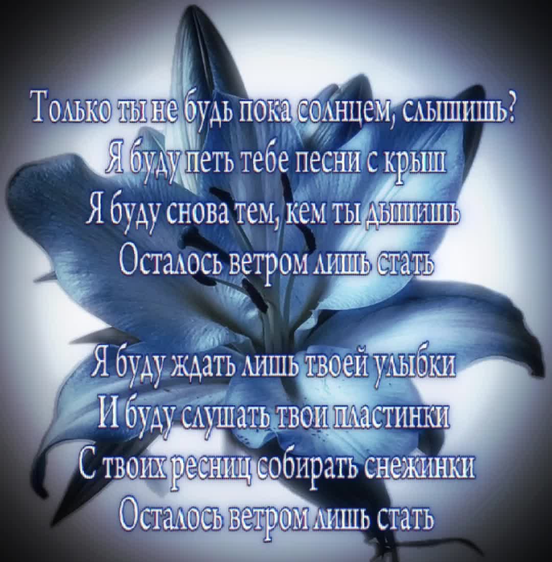@лупикал