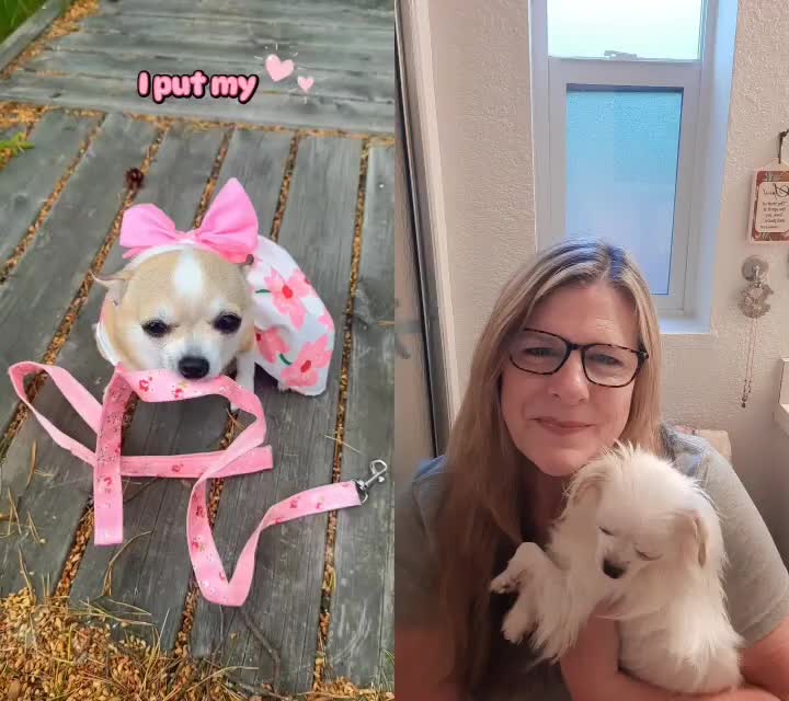 @danasdailydoodles