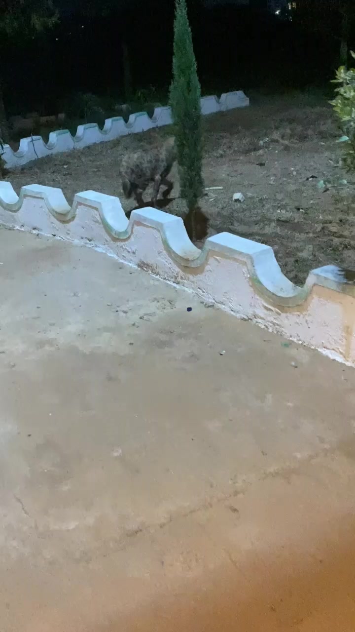 @ÀĹÈX ĶÈMÀĹ