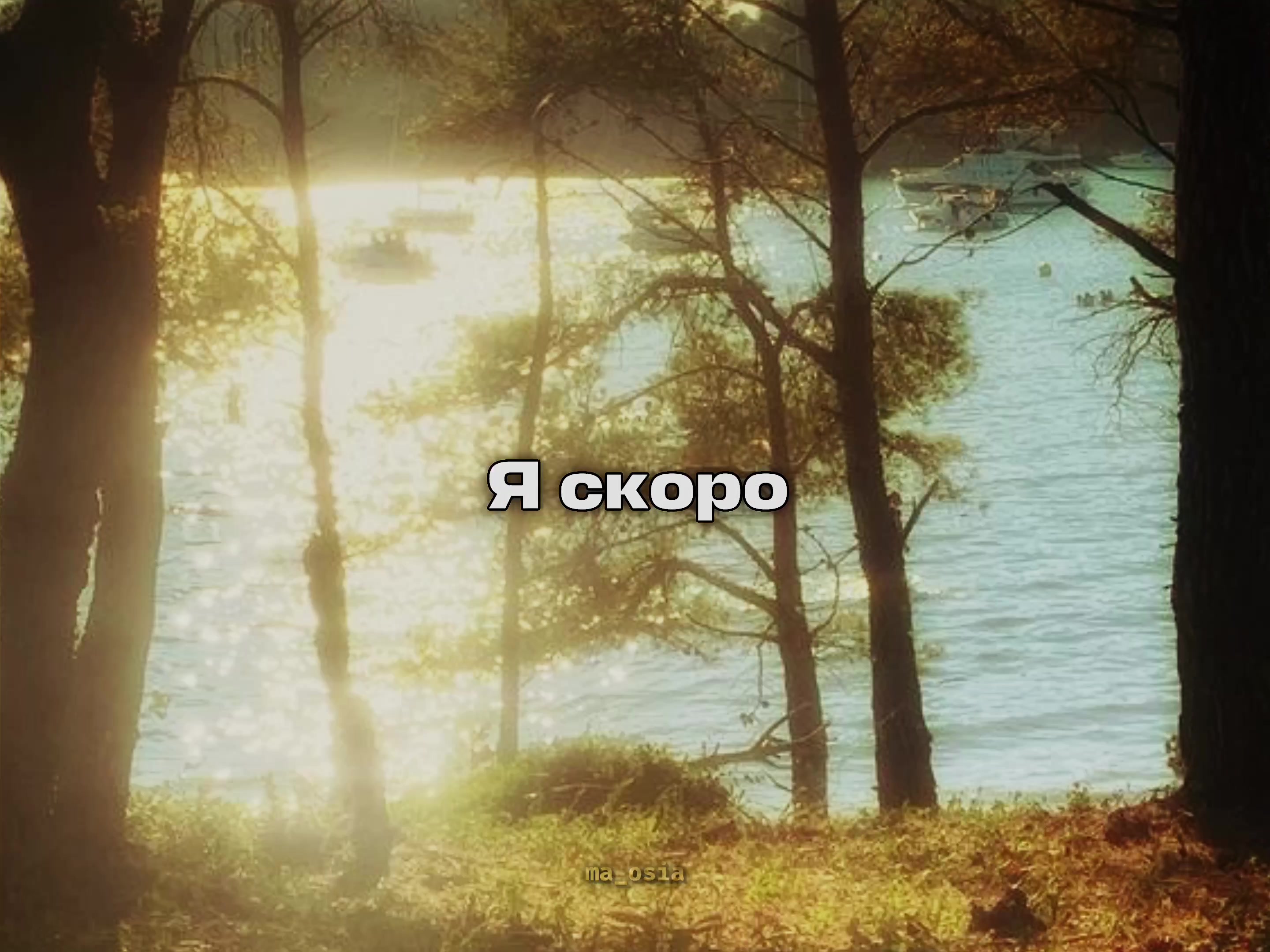 @маося✿*゚︎
