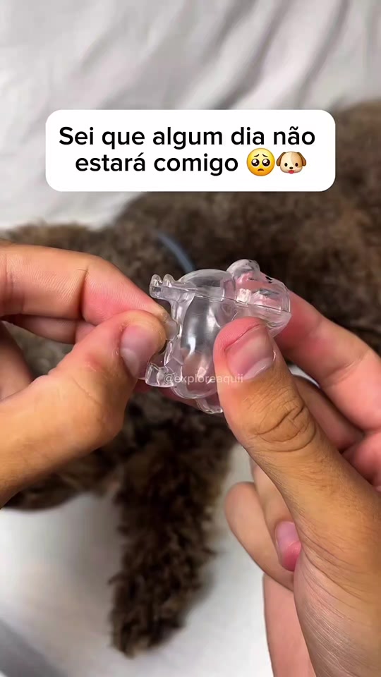 @Explore Aquii 🐾🐾✨️