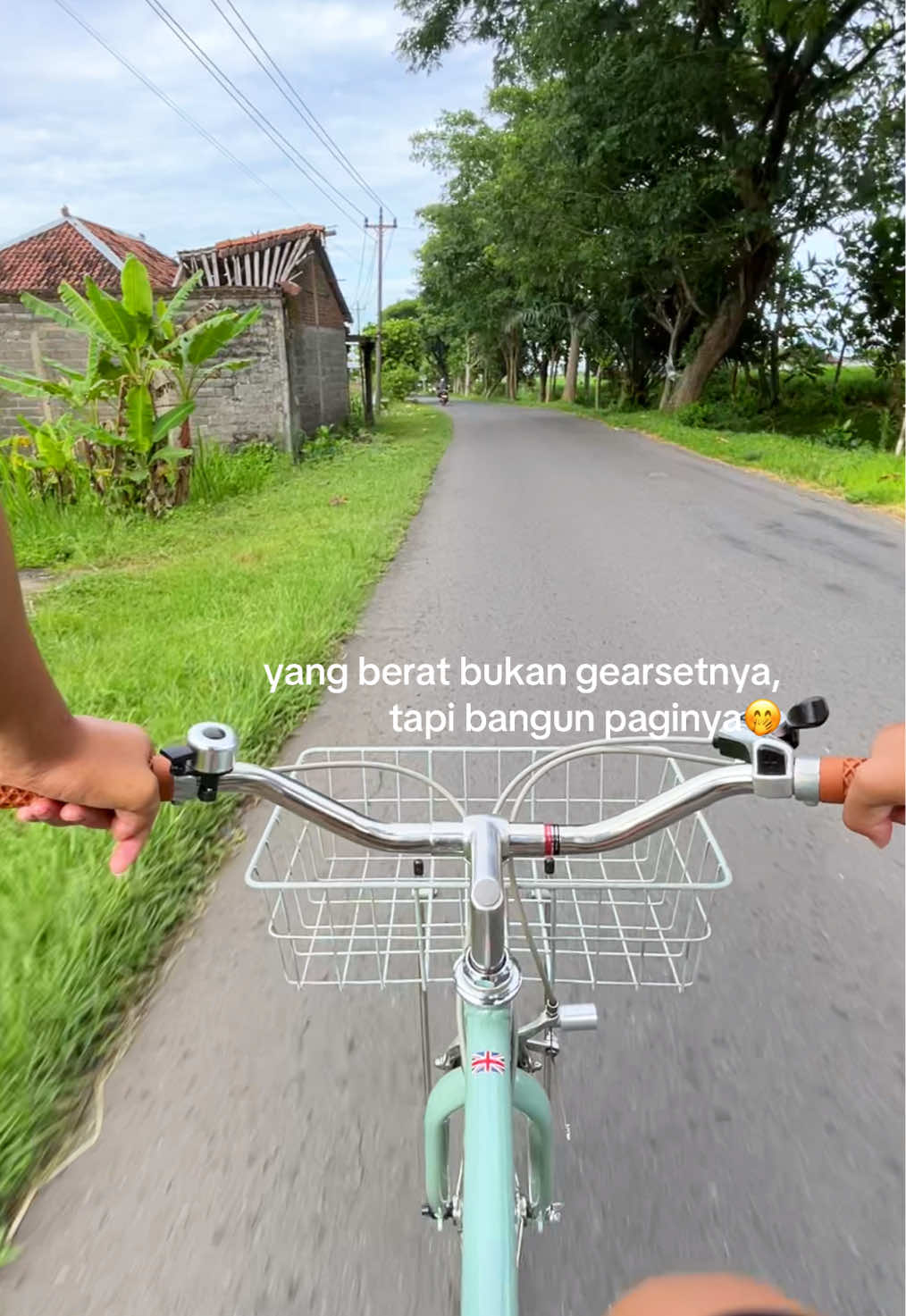 @soto sapiii