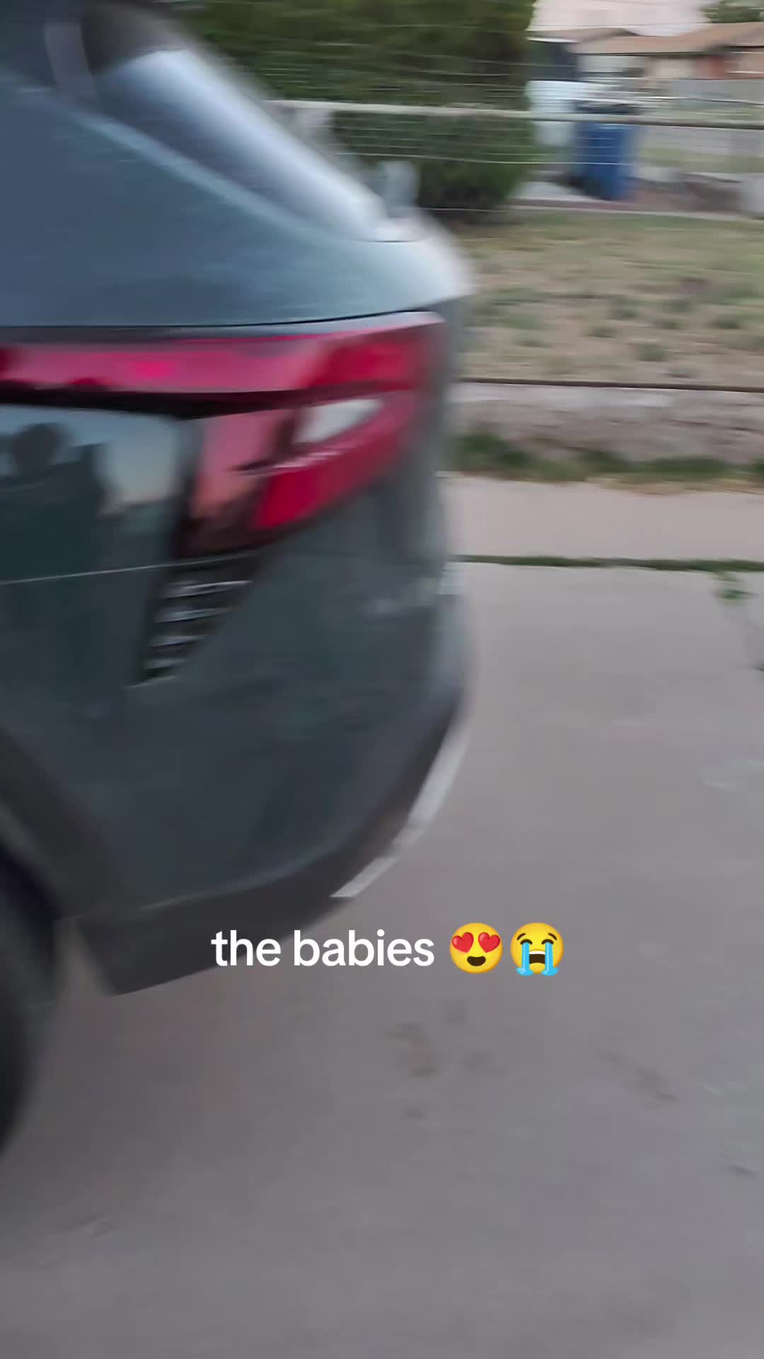 @Patricia Perez