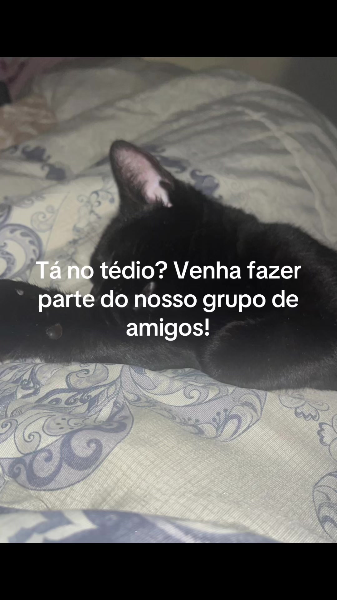 @Resenhaaa