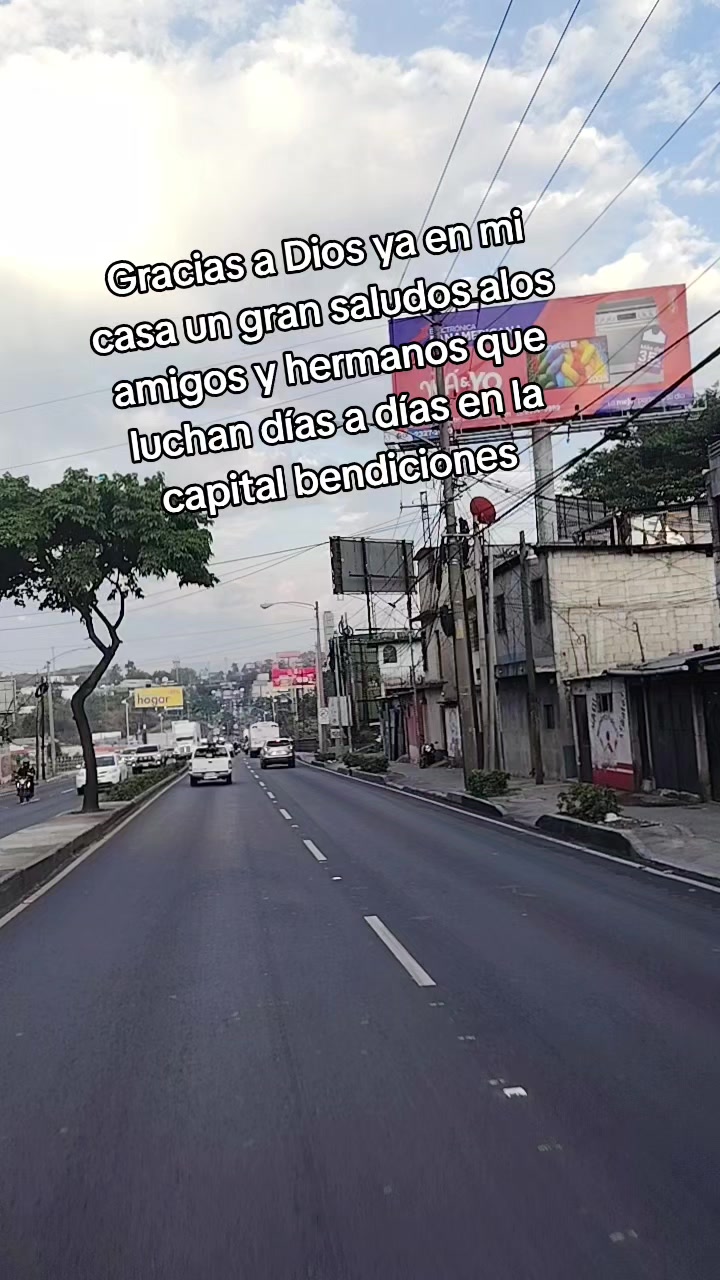@Evercocyat