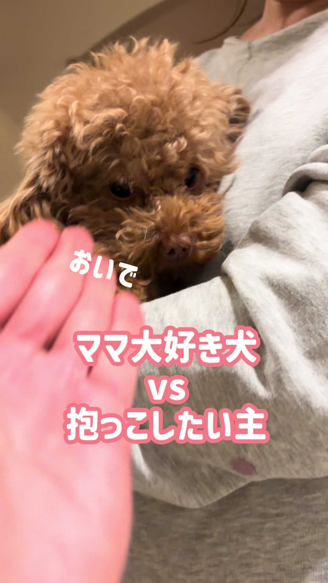 @るるもも
