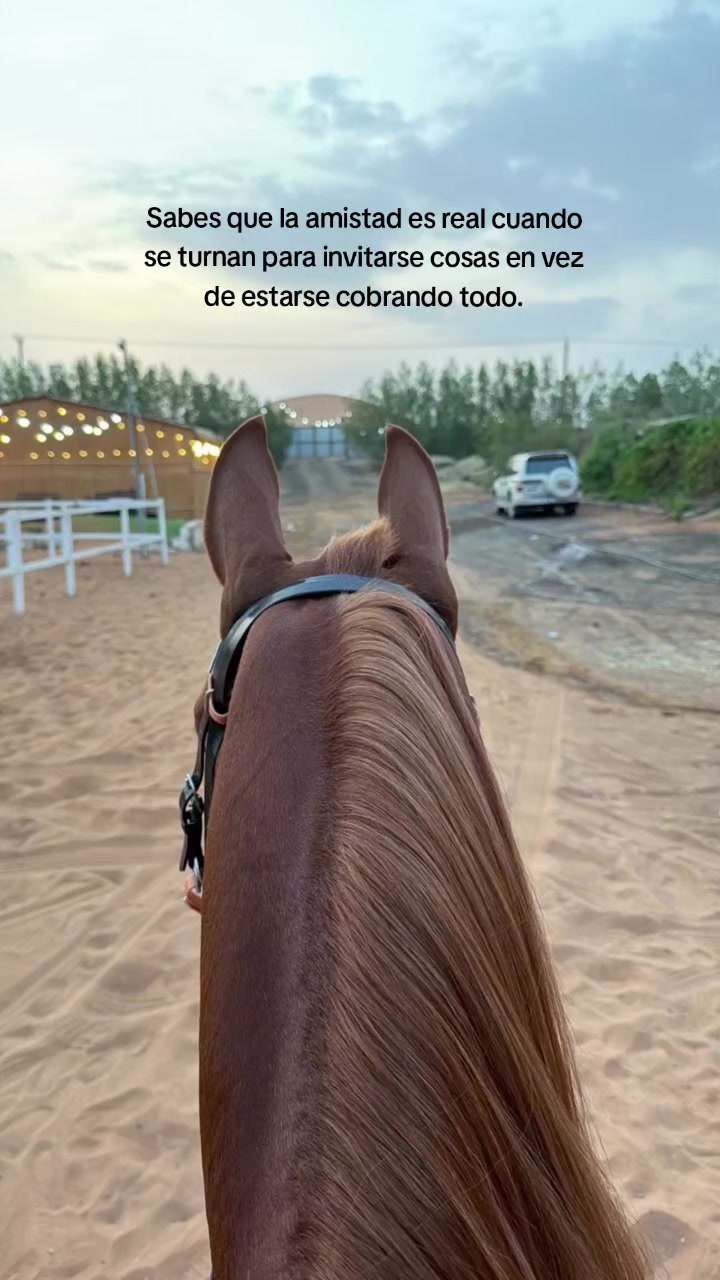 @Lariossv
