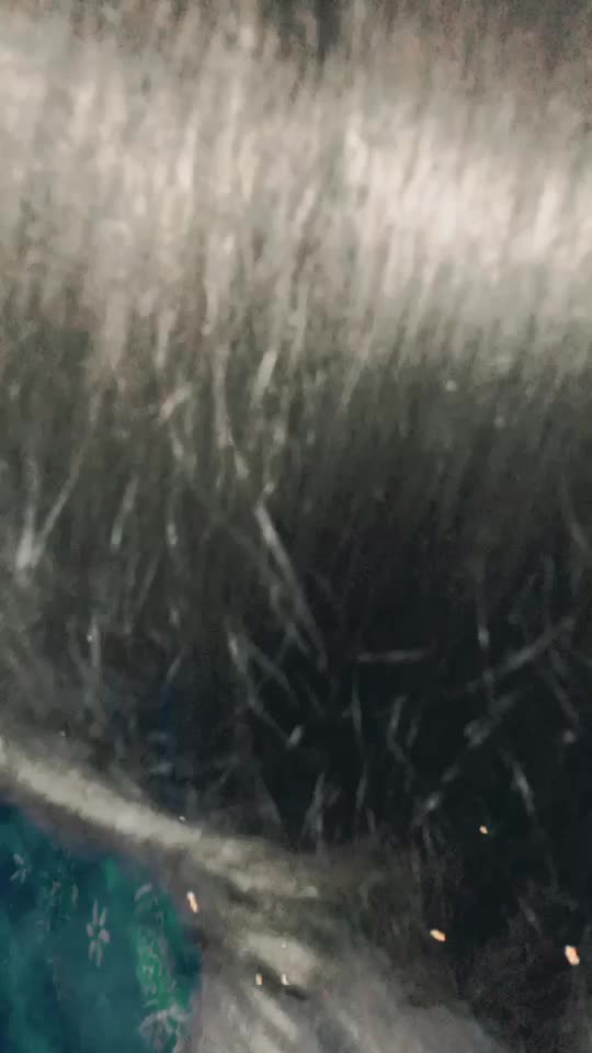 @13hairdoctor