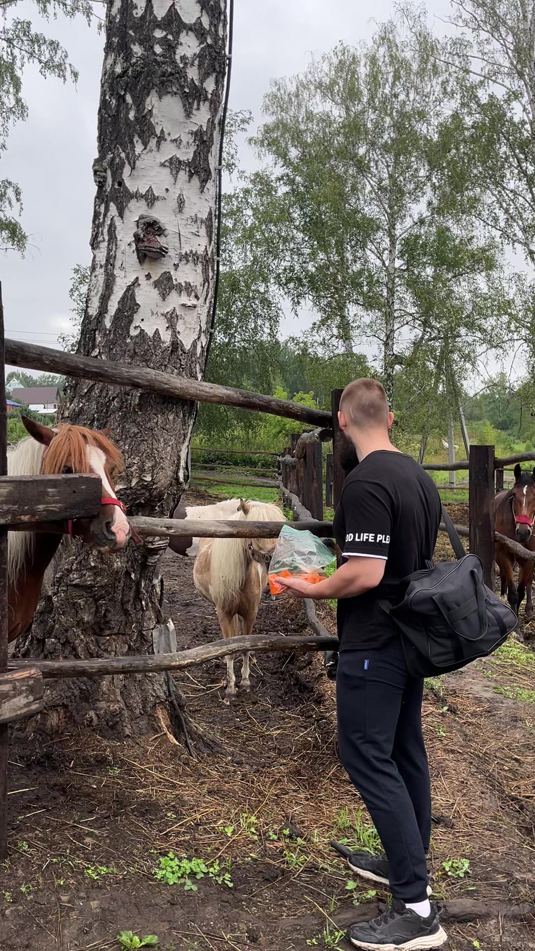 @ТГК: Гараж Домкратова