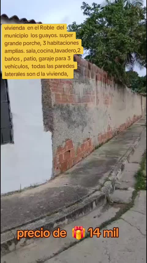 @Lis_venta
