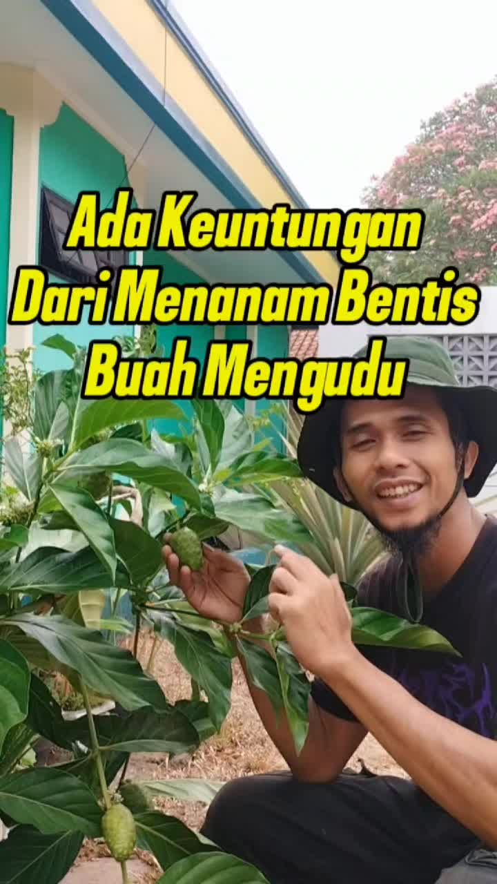 @Bukit Farming
