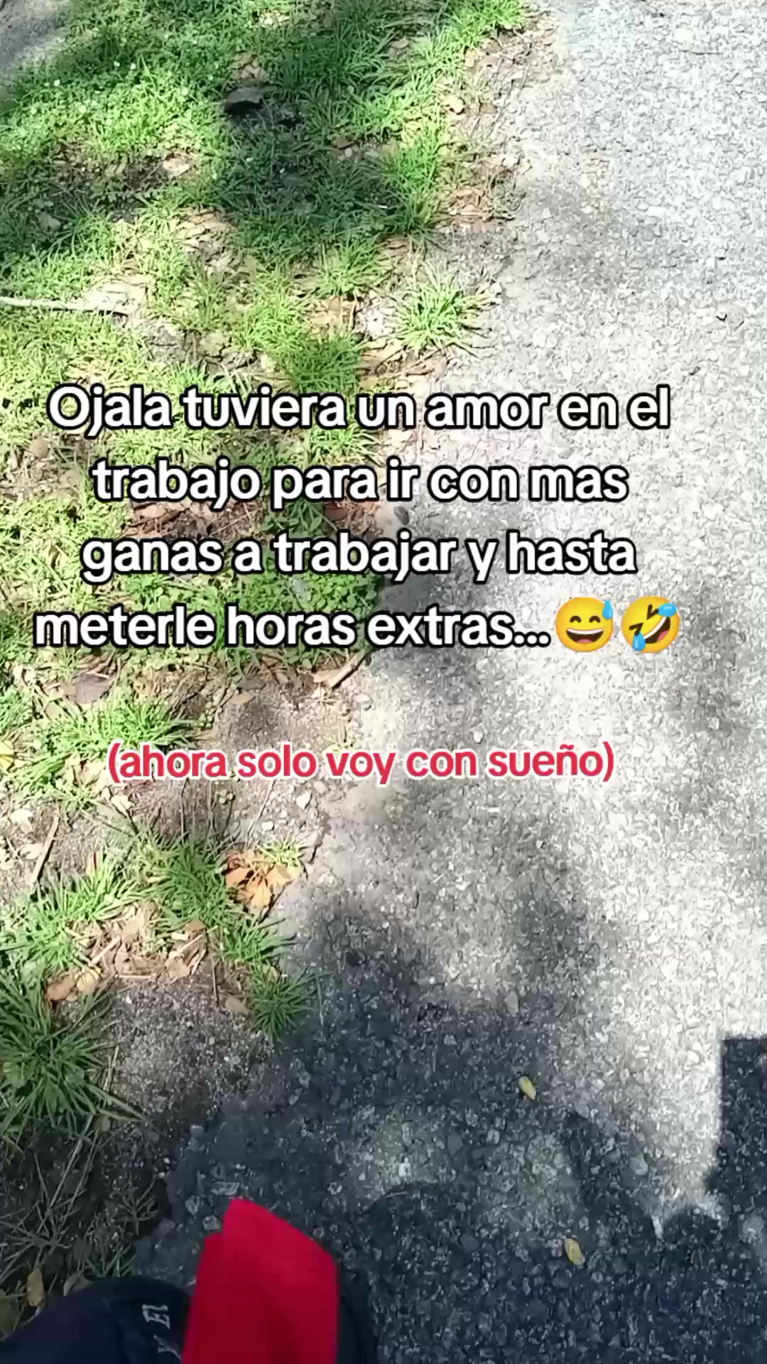 @Sebastián 74