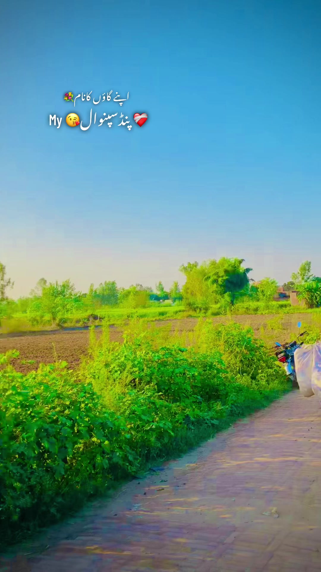 @پنڈا والے  راجپوت☘️☘️ظفر وال🤗