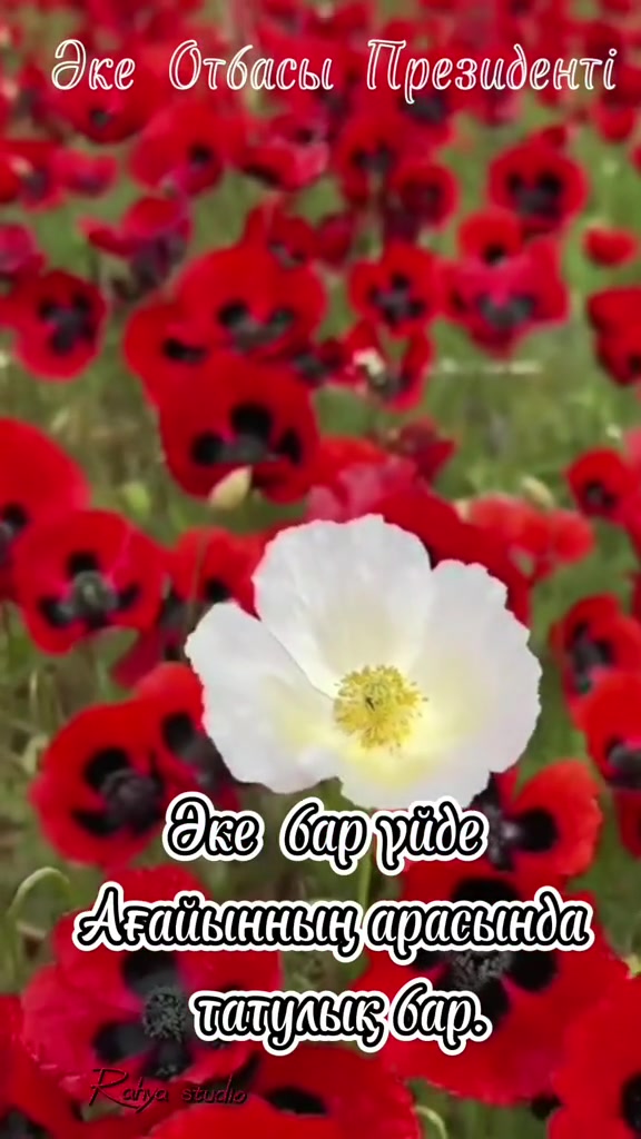 @Р.И.М