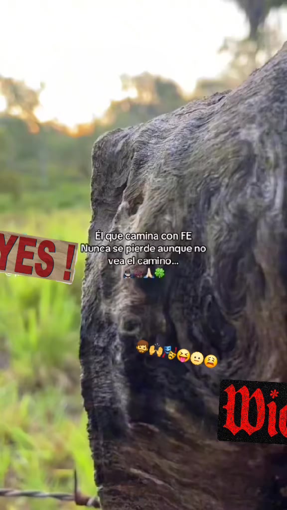 @benysrcz_67👿🧔♂️