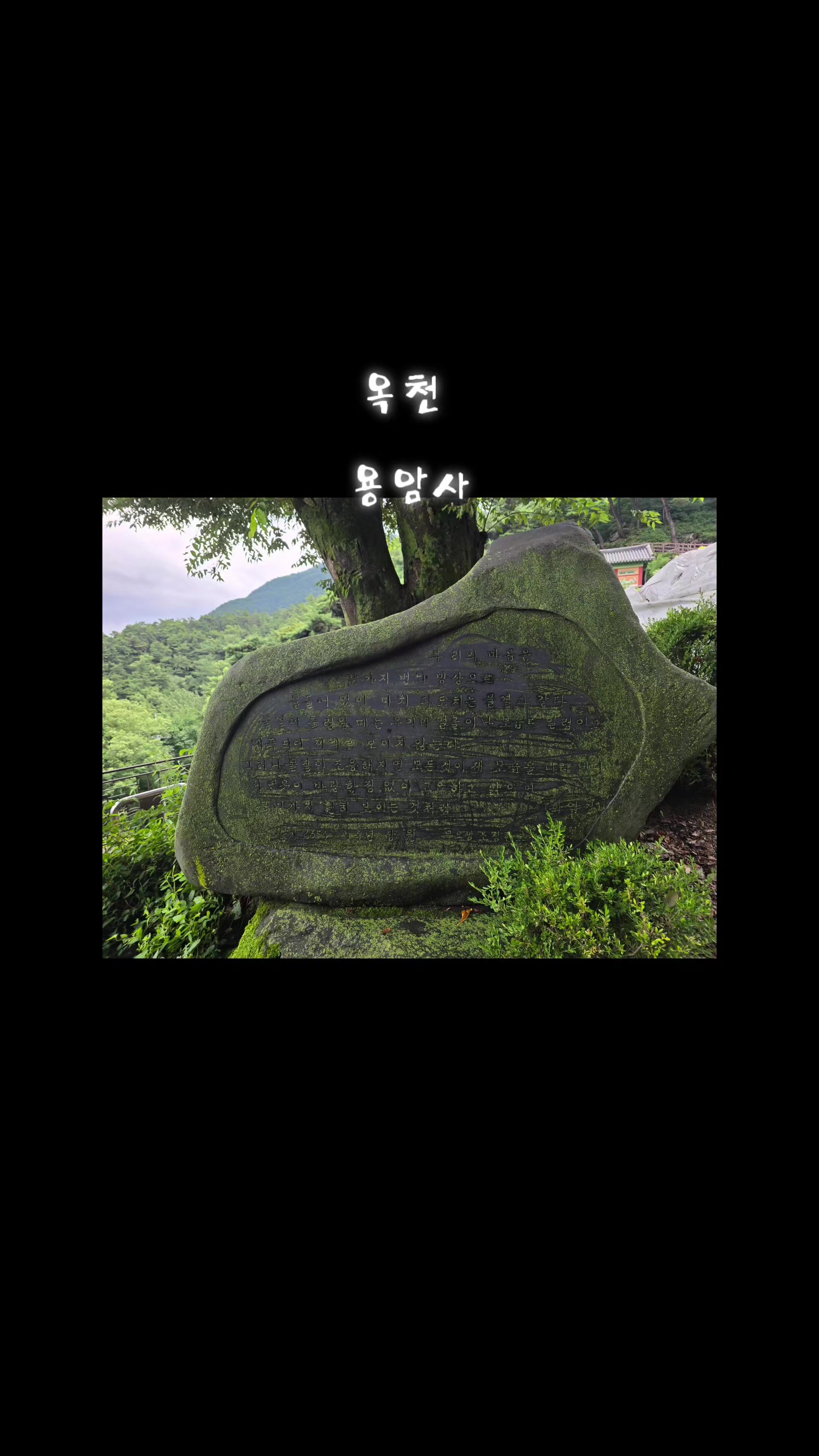 @#장보경힐링타로#장보경힐링타로사주이야