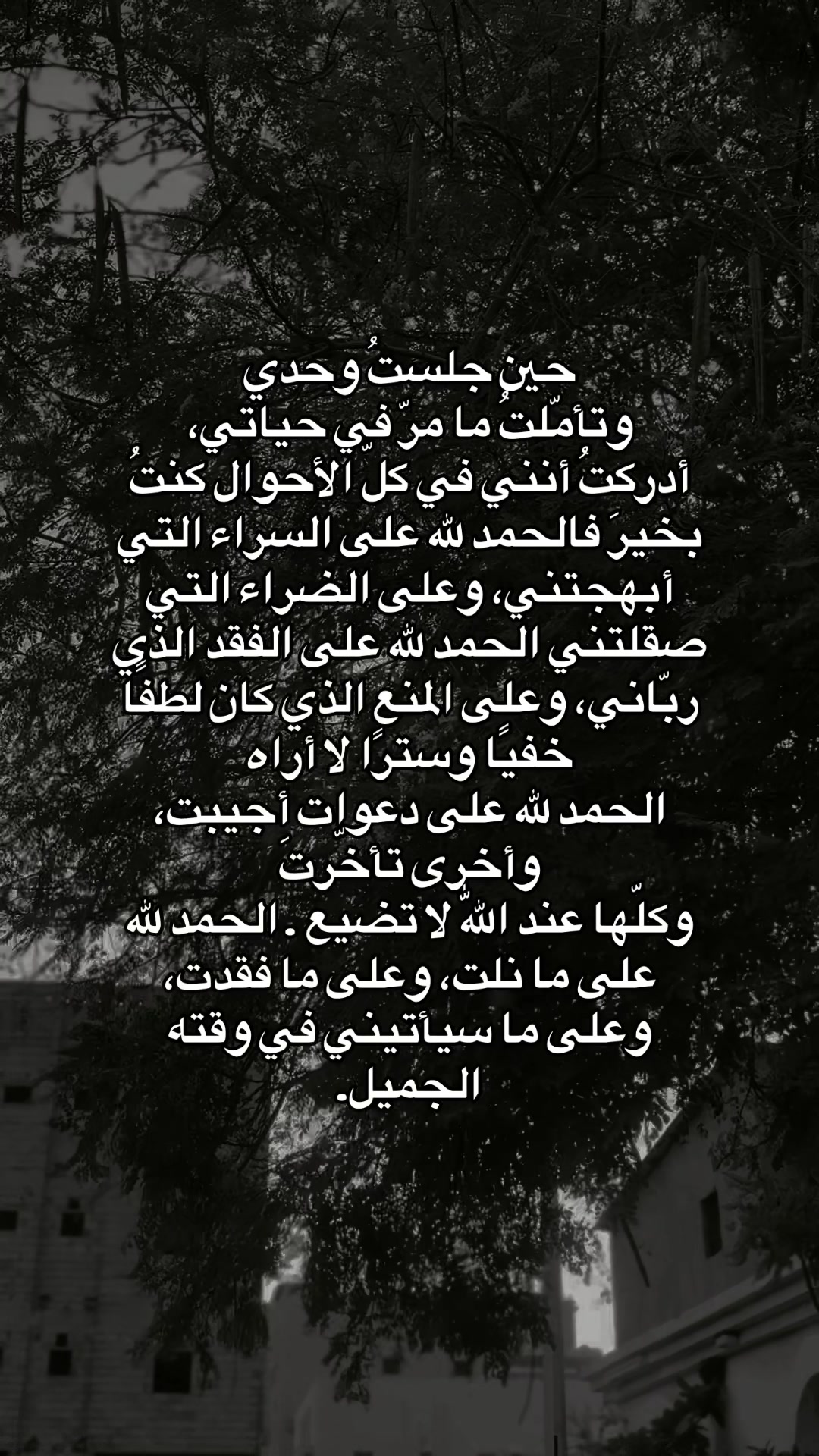 @نـوره | ١٩٩٤