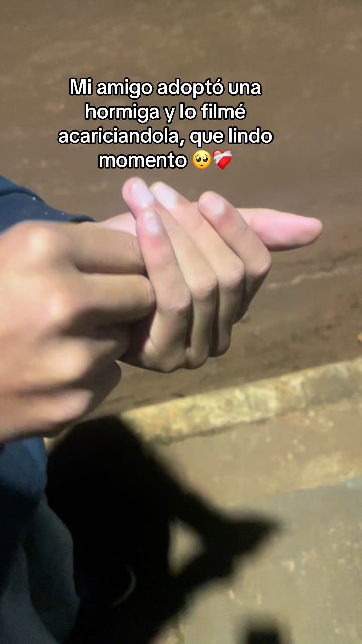 @Sebastian___rioss