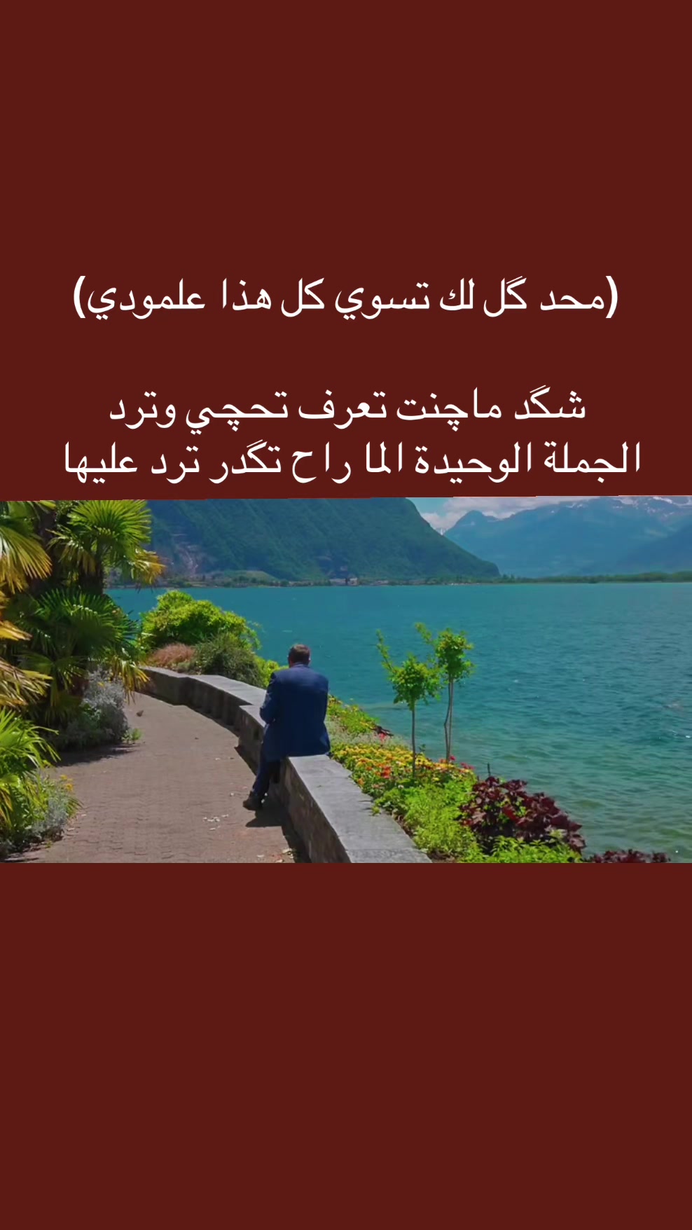 @المجتهد