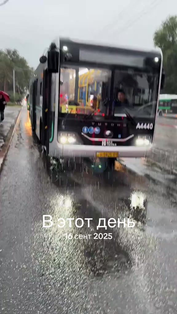 @𝔞𝔩𝔱𝔦_𝔟𝔲𝔰𝔰𝔢𝔰☑️