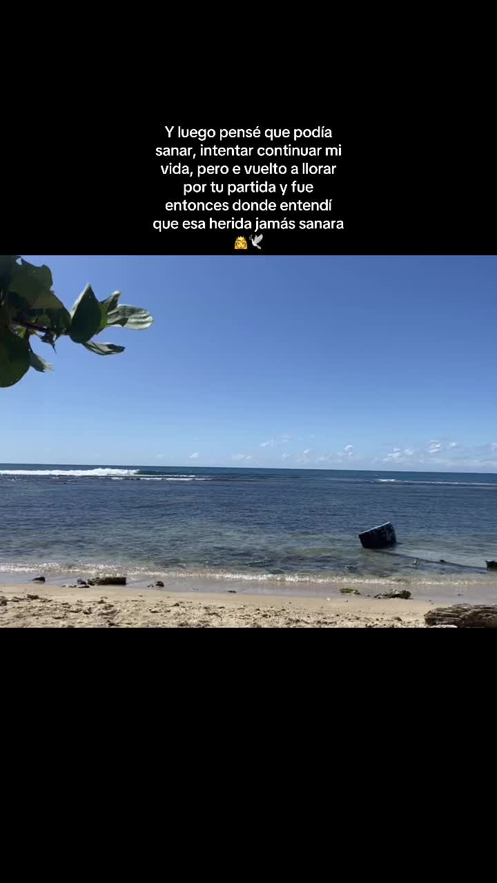 @️Jari soto ✨