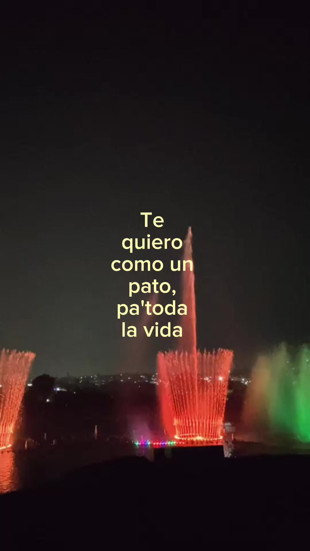 @꧁🧸✨️Tus Frases✨🧸꧂