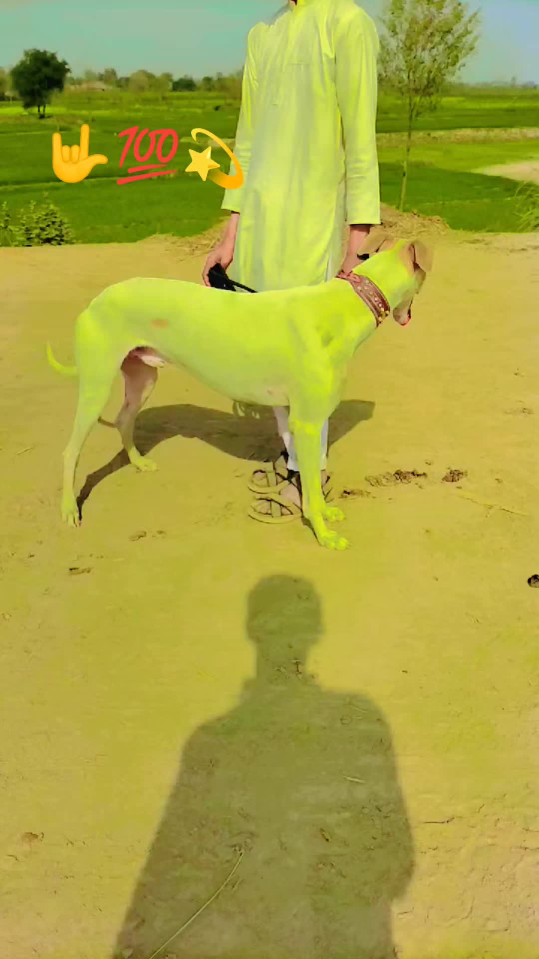 @𝔸𝕣𝕏𝕝𝕒ℕ 𝕏𝕙𝕒ℕ𝕚