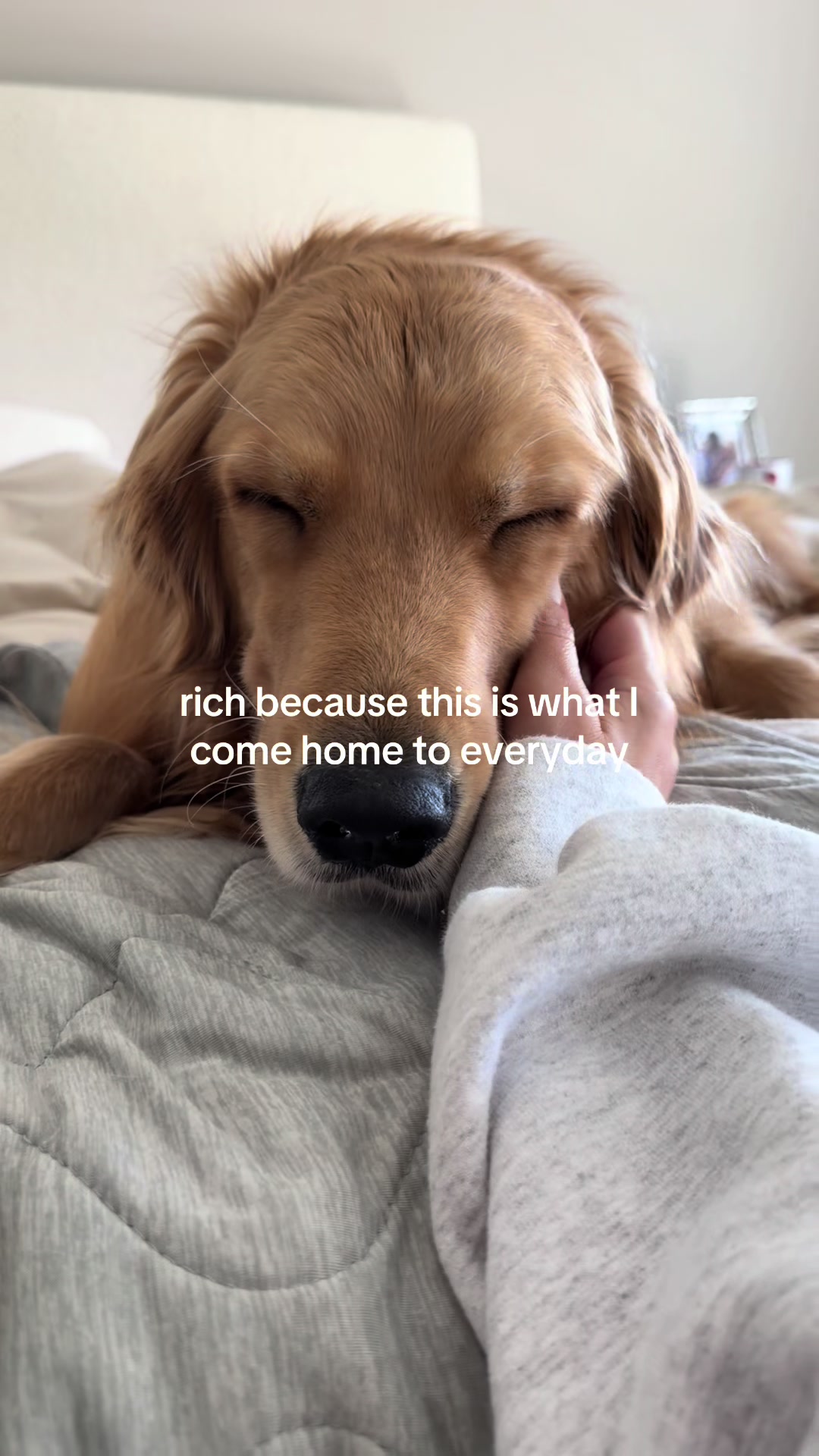 @novathegoldenn
