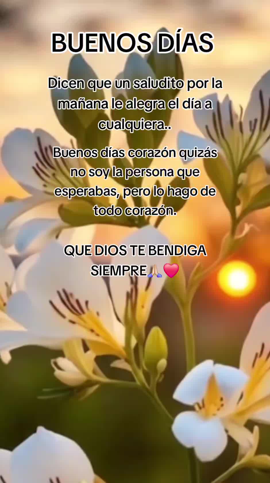 @🎀🫧𝕍𝕖𝕣&oacute;𝕟𝕚𝕔𝕒🫧🎀
