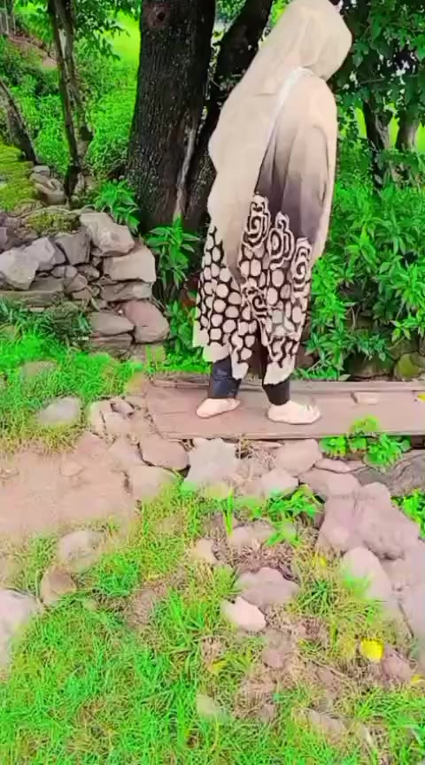 @Ashii abbasi 🤟✌