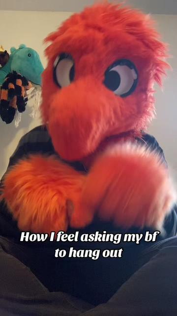 @Socks 🔞