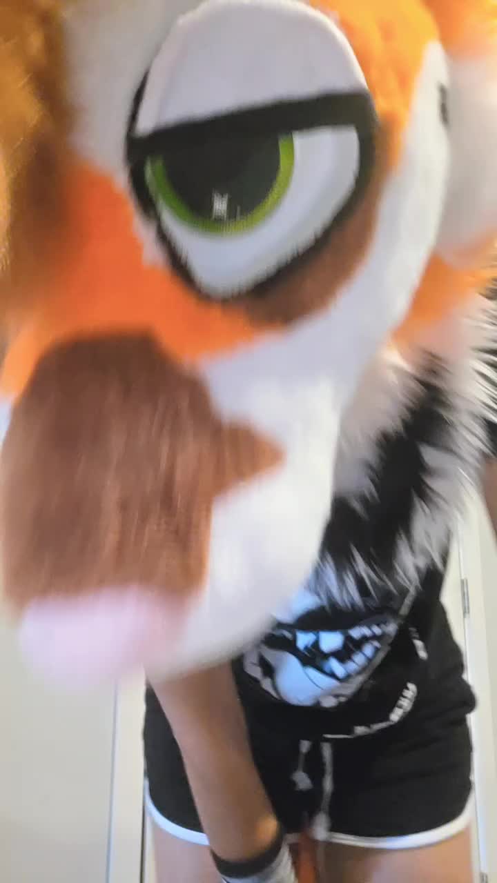 @mutt