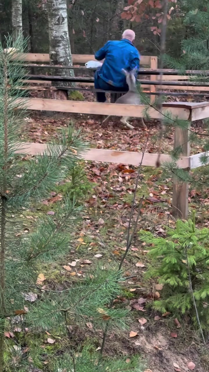 @MUGZ.TV ๐บ