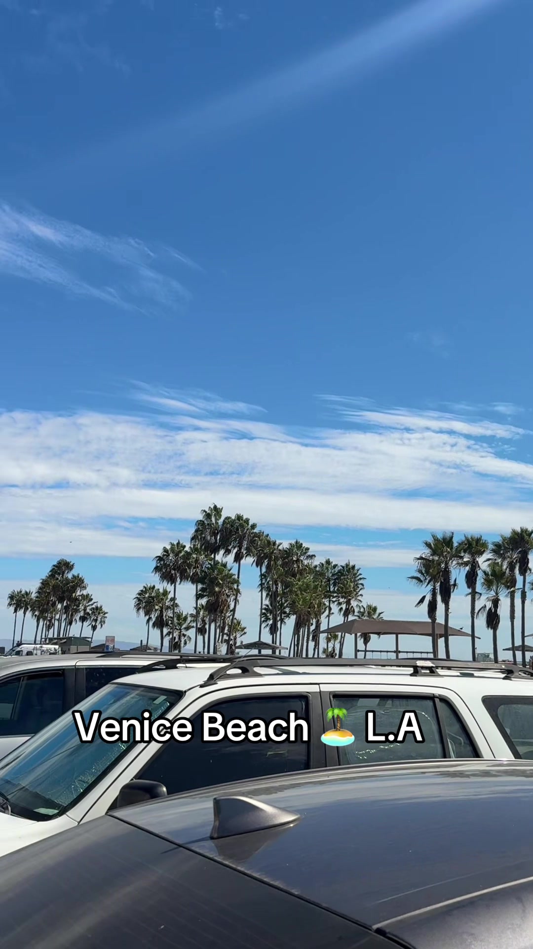 @vero350chiquita