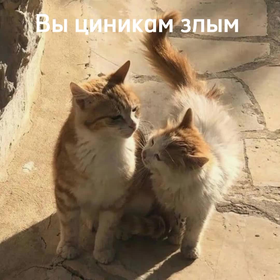 @Кефир.