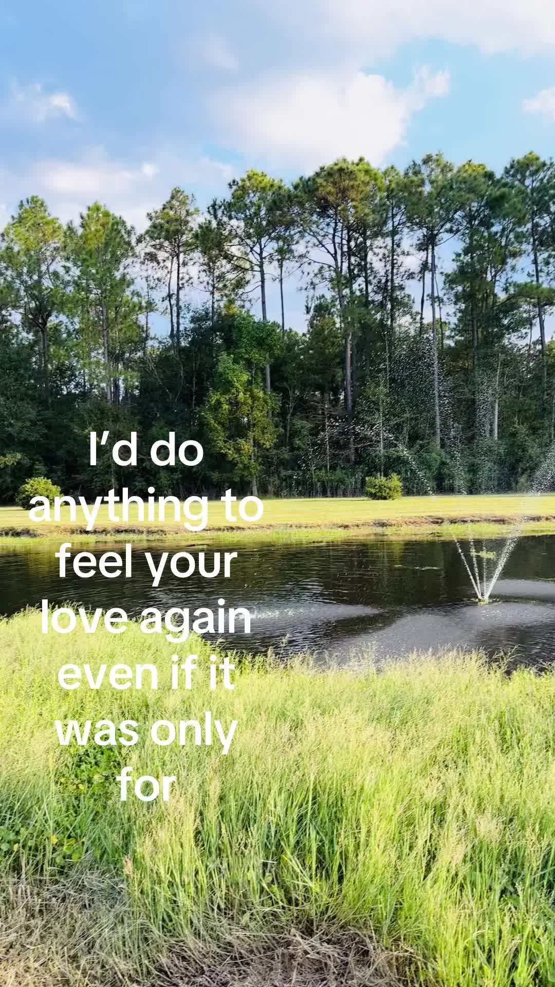 @🖤