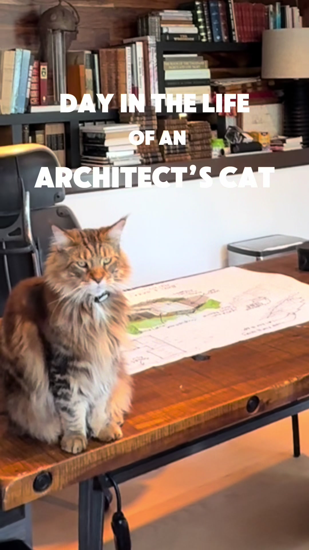 @TECTA ARCHITECTS