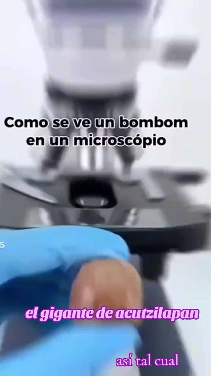 @Fortino Cruz Marin