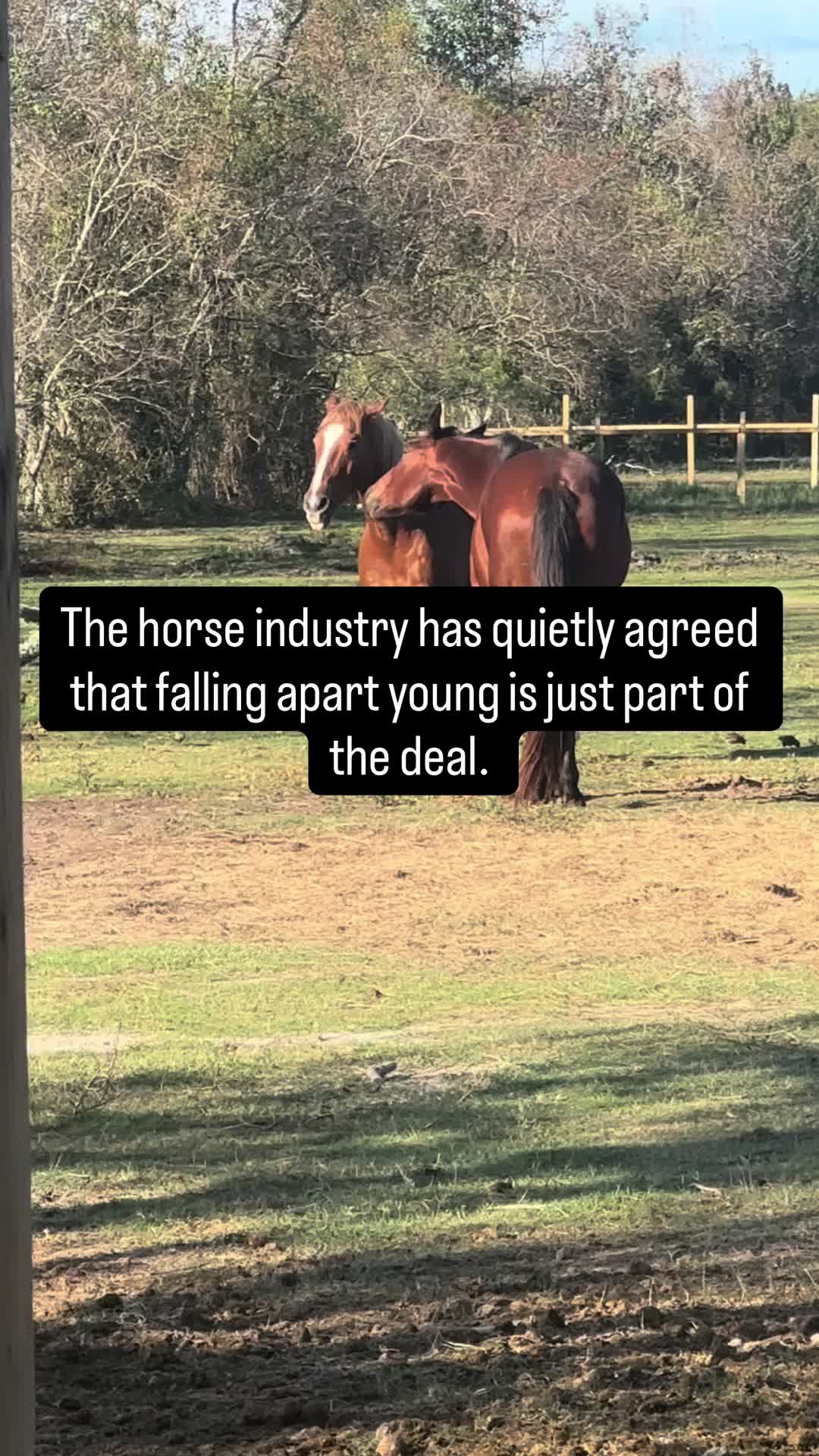 @Audrey Christie