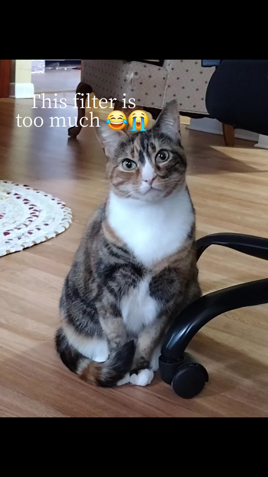 @J