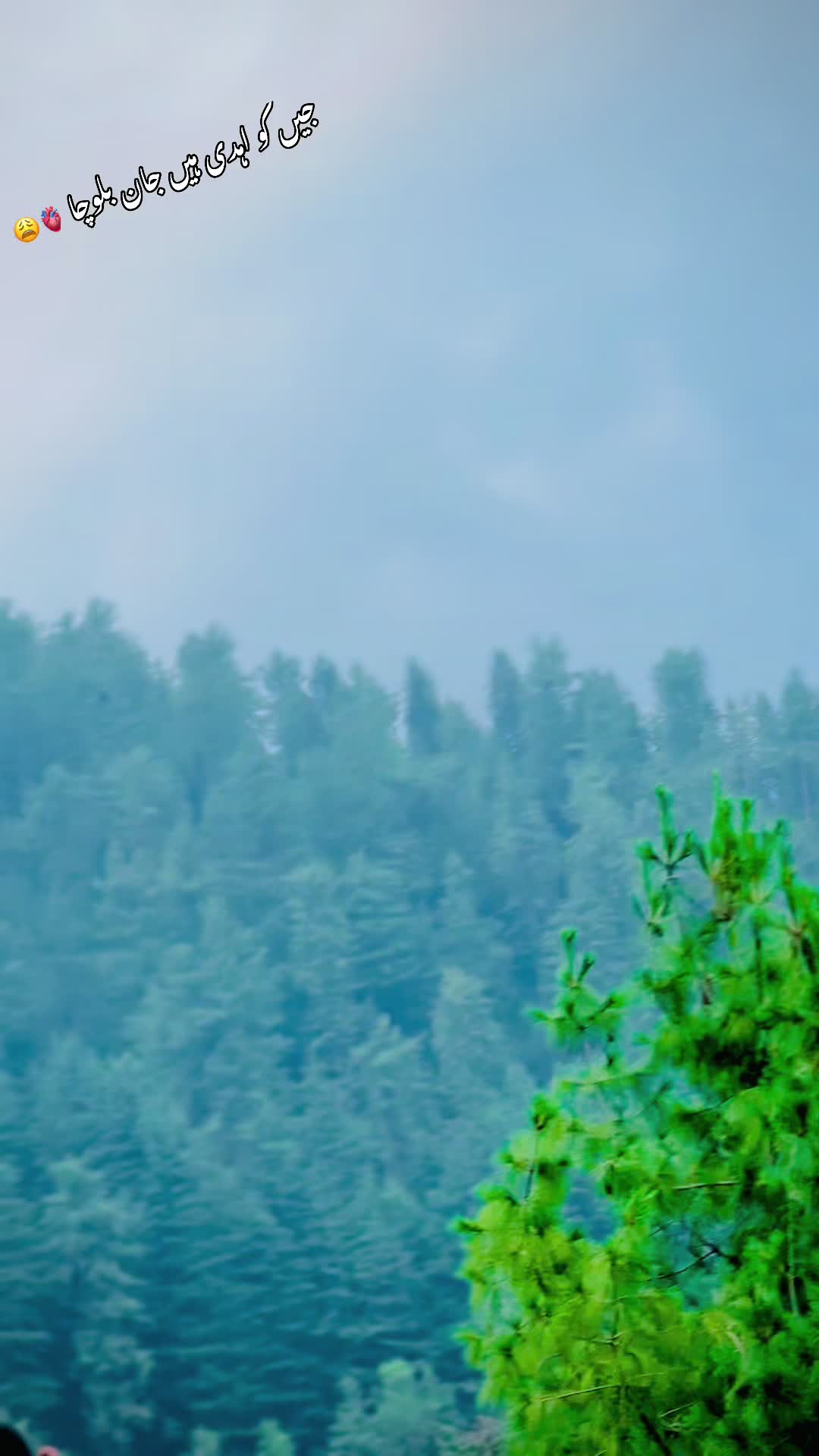 @سنى خان نیازی 💫🤍🦋