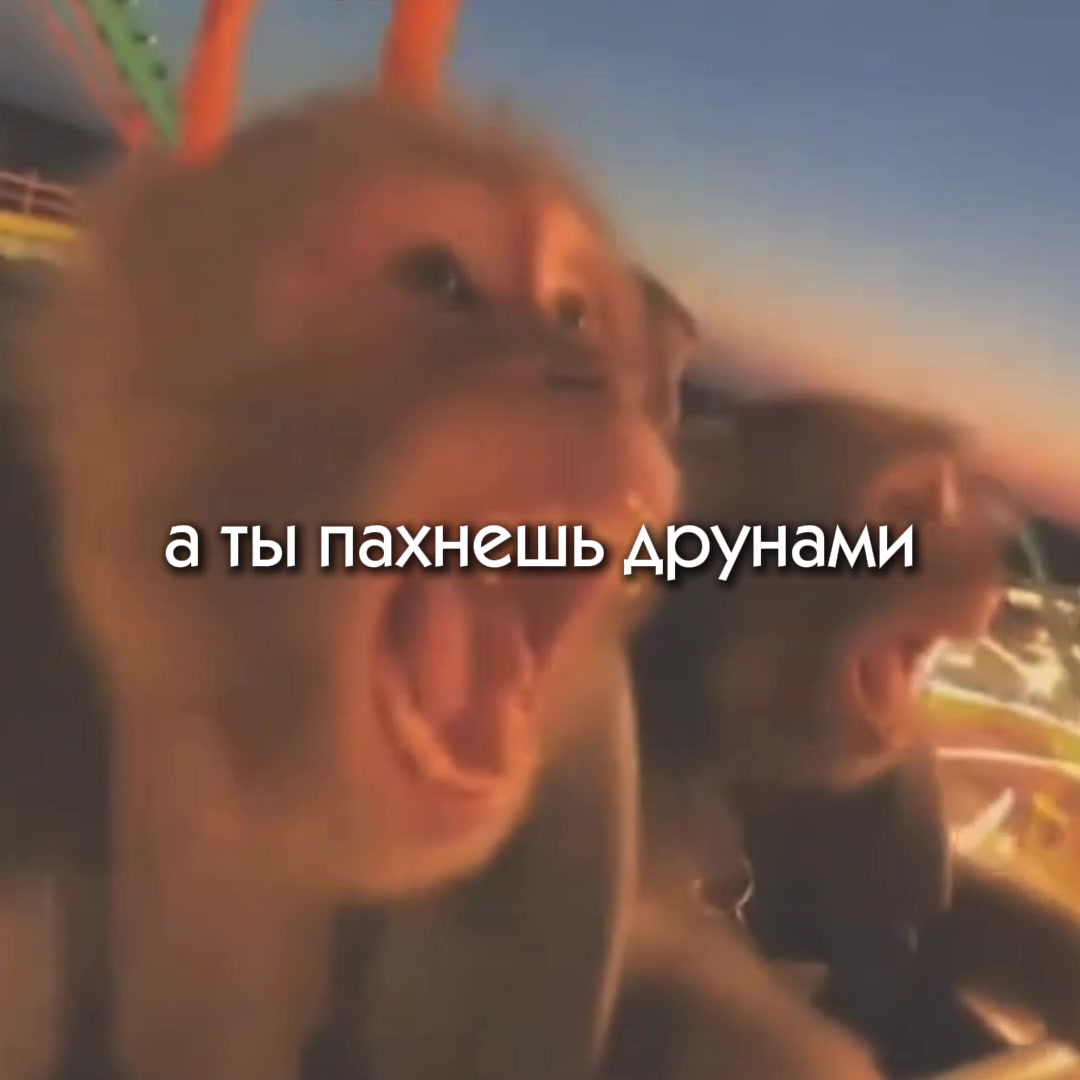 @ТГК: Тимик и его команда 😺