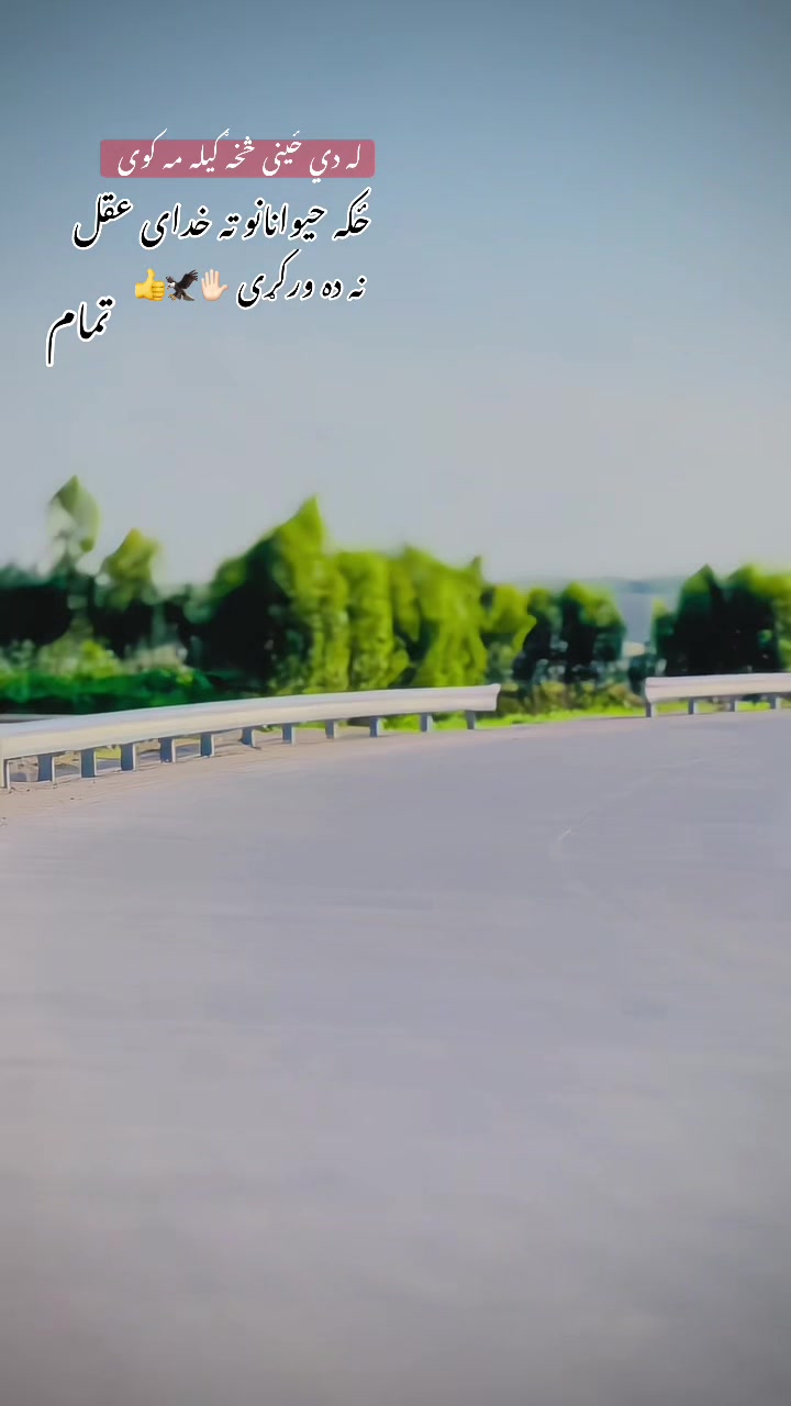 @𓆩&bull;.𝒾𝓉𝓍 𝓌𝒶𝒽𝒾𝒹ℴ.&bull;𓆪