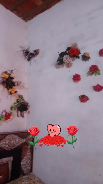 @Hassan Hussain