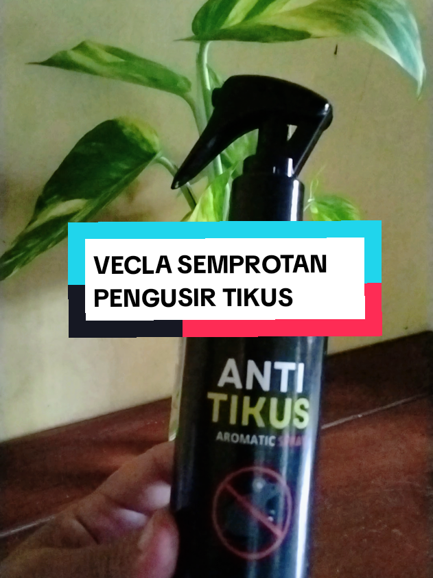 @Anita OlShop