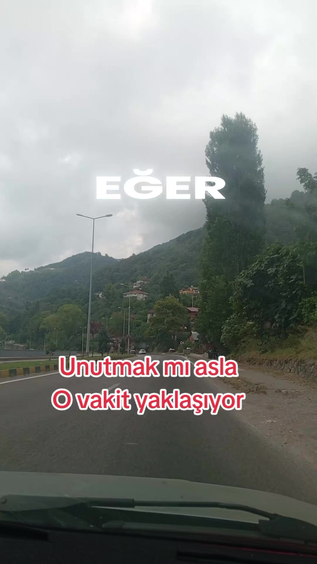 @🦁 SAKİN OLUN BEN GELDİM SLM🦁