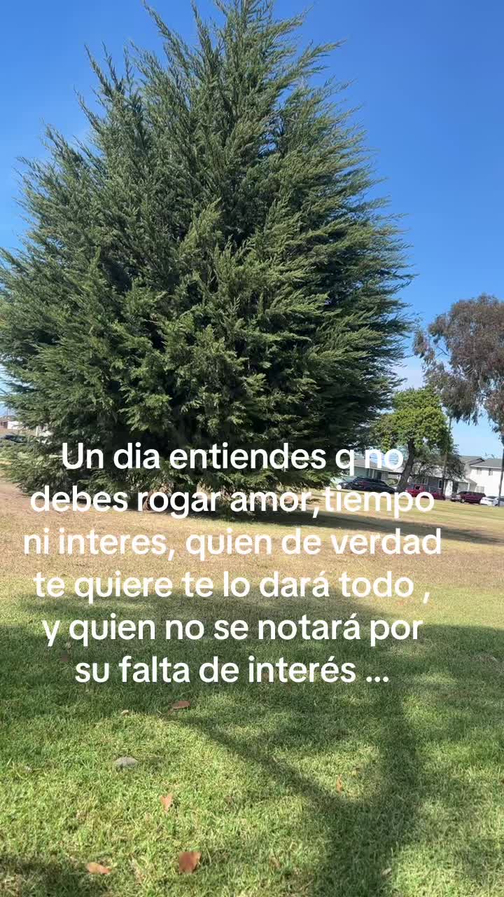 @Lupita 😘😘