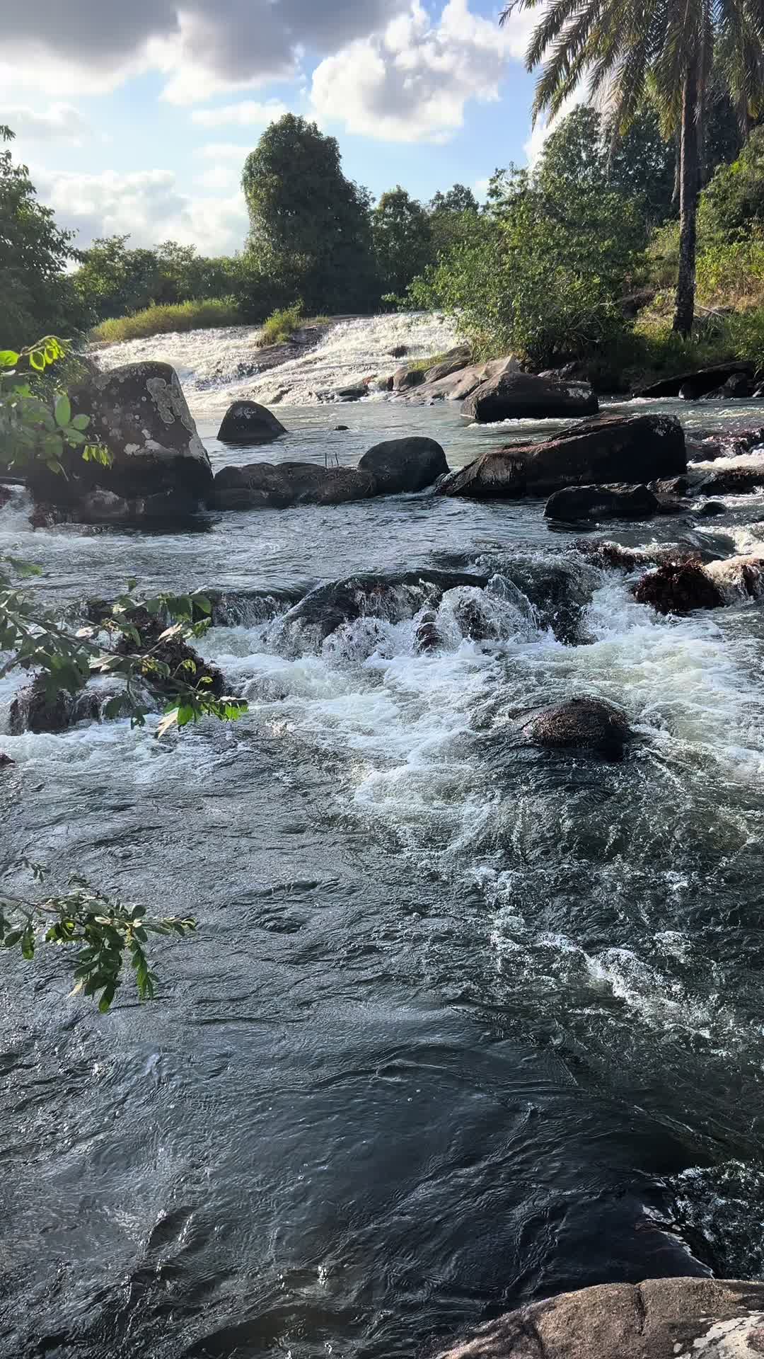 @1.cachinhos