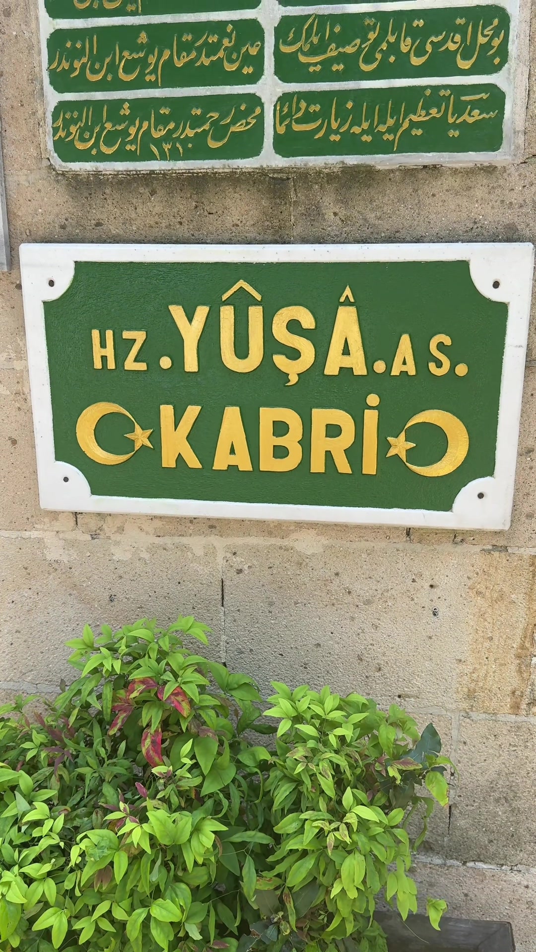@Evsiz Karınca