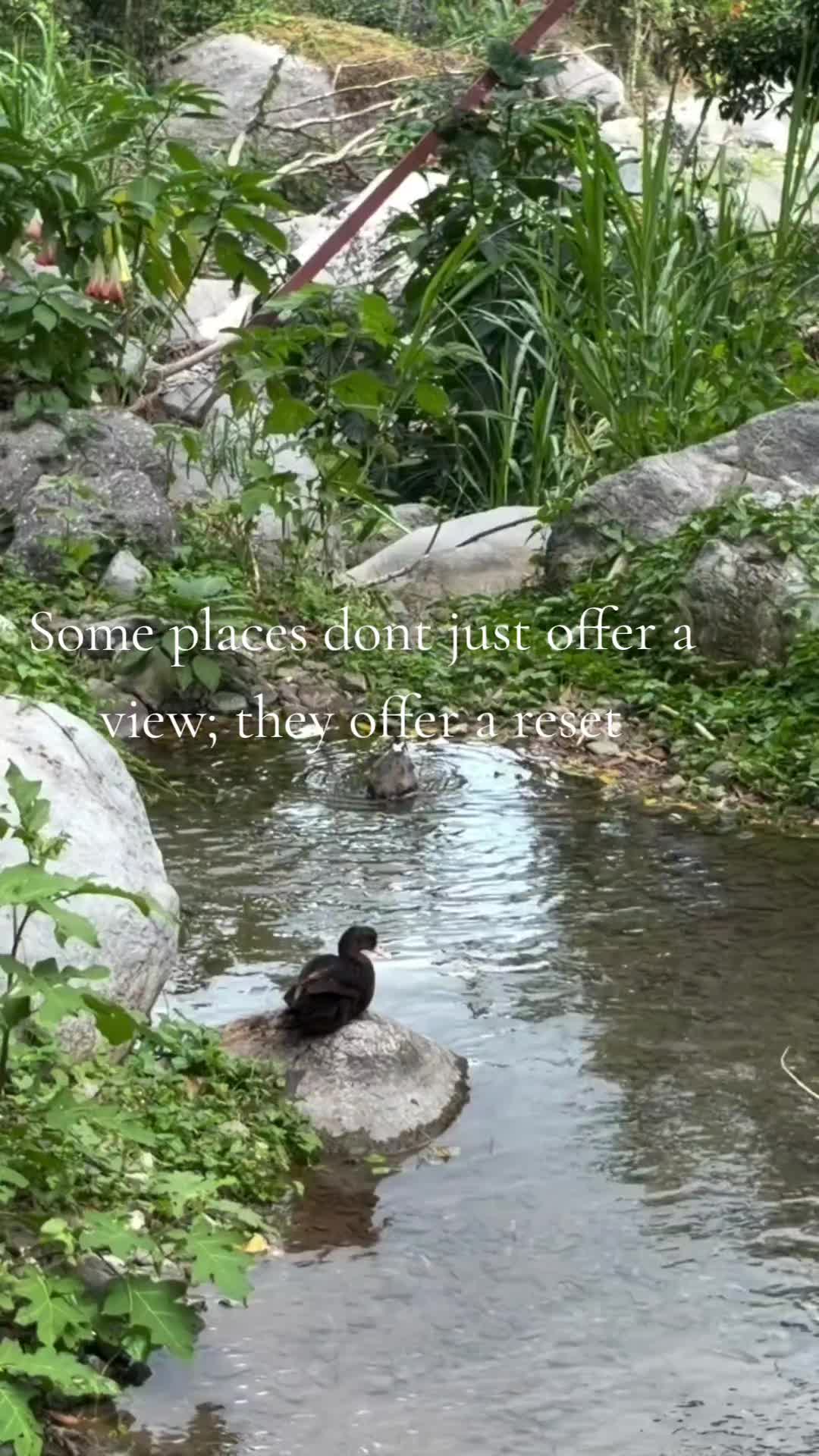 @OneOnOneWithD